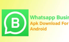 Gbwhatsapp 6.60 download